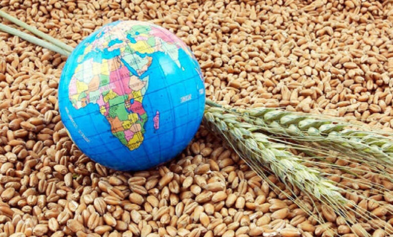 قیمت مواد غذایی