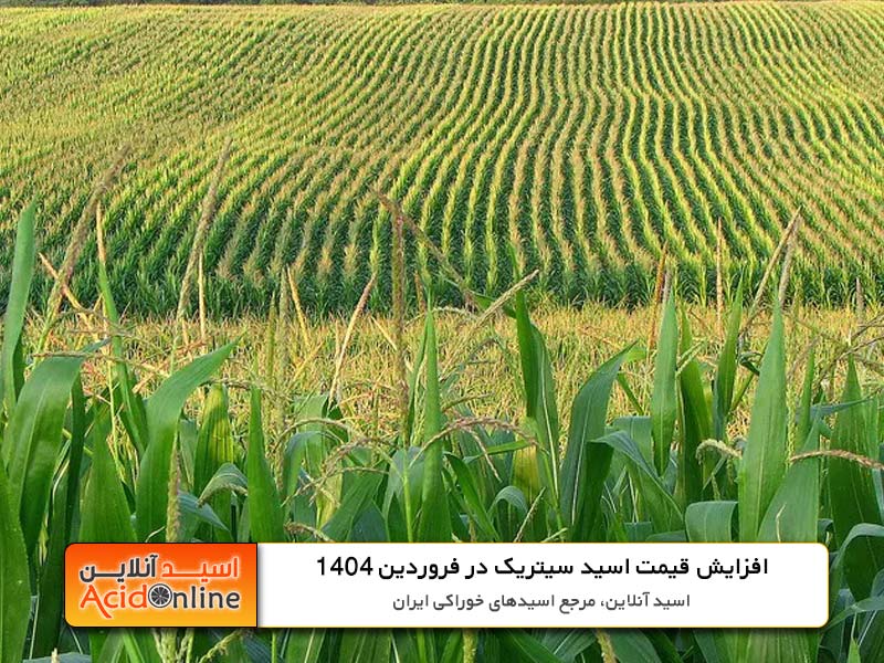 افزایش قیمت اسید و ذرت