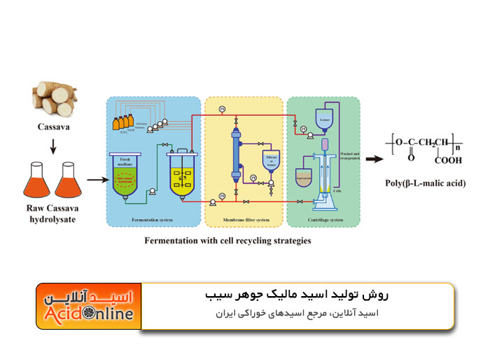 تولید اسید جوهر سیب مالیک