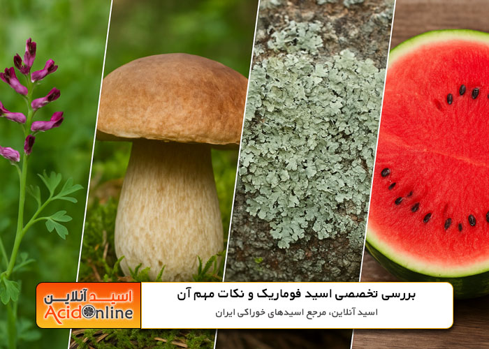 منابع طبیعی فوماریک اسید