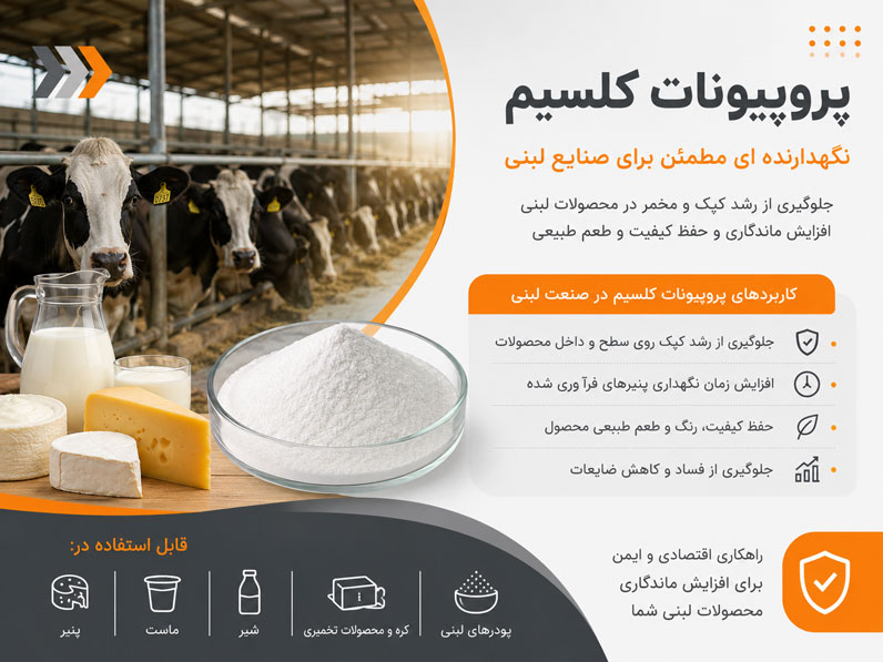 کاربرد پروپیونات کلسیم در صنایع لبنی